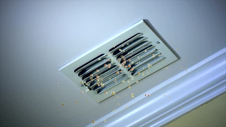 Best Home Air Vent Cleaning  in Littleton Common, MA