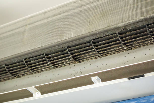 Best Local Air Duct Cleaning Services  in Littleton Common, MA