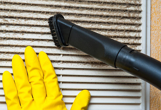 Best Professional Duct Cleaning Services  in Littleton Common, MA